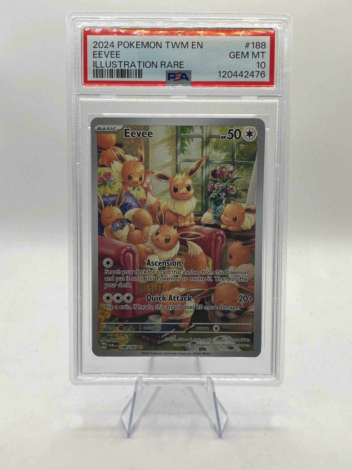 Eevee IR PSA 10 - Twilight Masquerade 2024